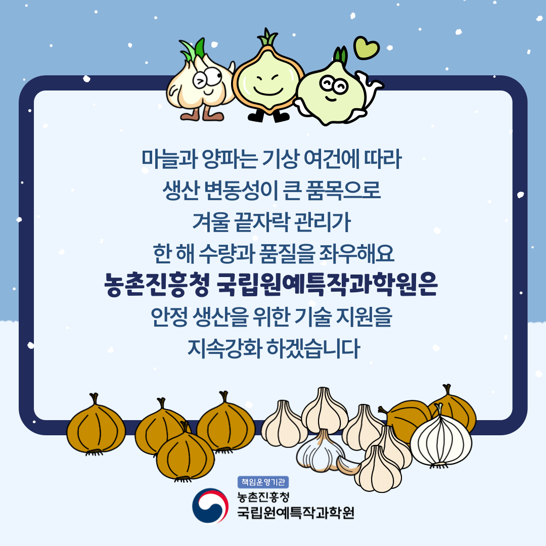 마늘과 양파는 기상 여건에 따라 생산 변동성이 큰 품목으로 겨울 끝자락 관리가 한 해 수량과 품질을 좌우해요 농촌진흥청 국립원예특작과학원은 안정 생산을 위한 기술 지원을 지속강화 하겠습니다. 