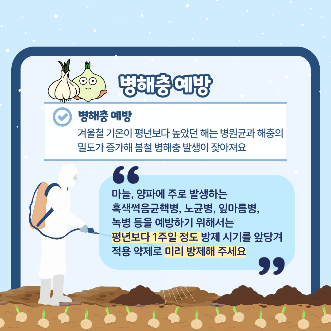 병해충 예방 병해충 예방 겨울철 기온이 평년보다 높았떤 해는 병원균과 해충의 밀도가 증가해 봄철 병해충 발생이 잦아져요 마늘, 양파에 주로 발생하는 흑색썩음균핵병, 노균병, 잎마름병, 녹병 등을 예방하기 위해서는 평년보다 1주일 정도 방제 시기를 앞당겨 적용 약제로 미리 방제해 주세요 