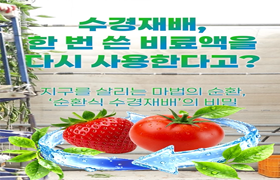 💧 비료액 다시 쓰는 순환식 수경재배! 비용 절감에 친환경 효과까지