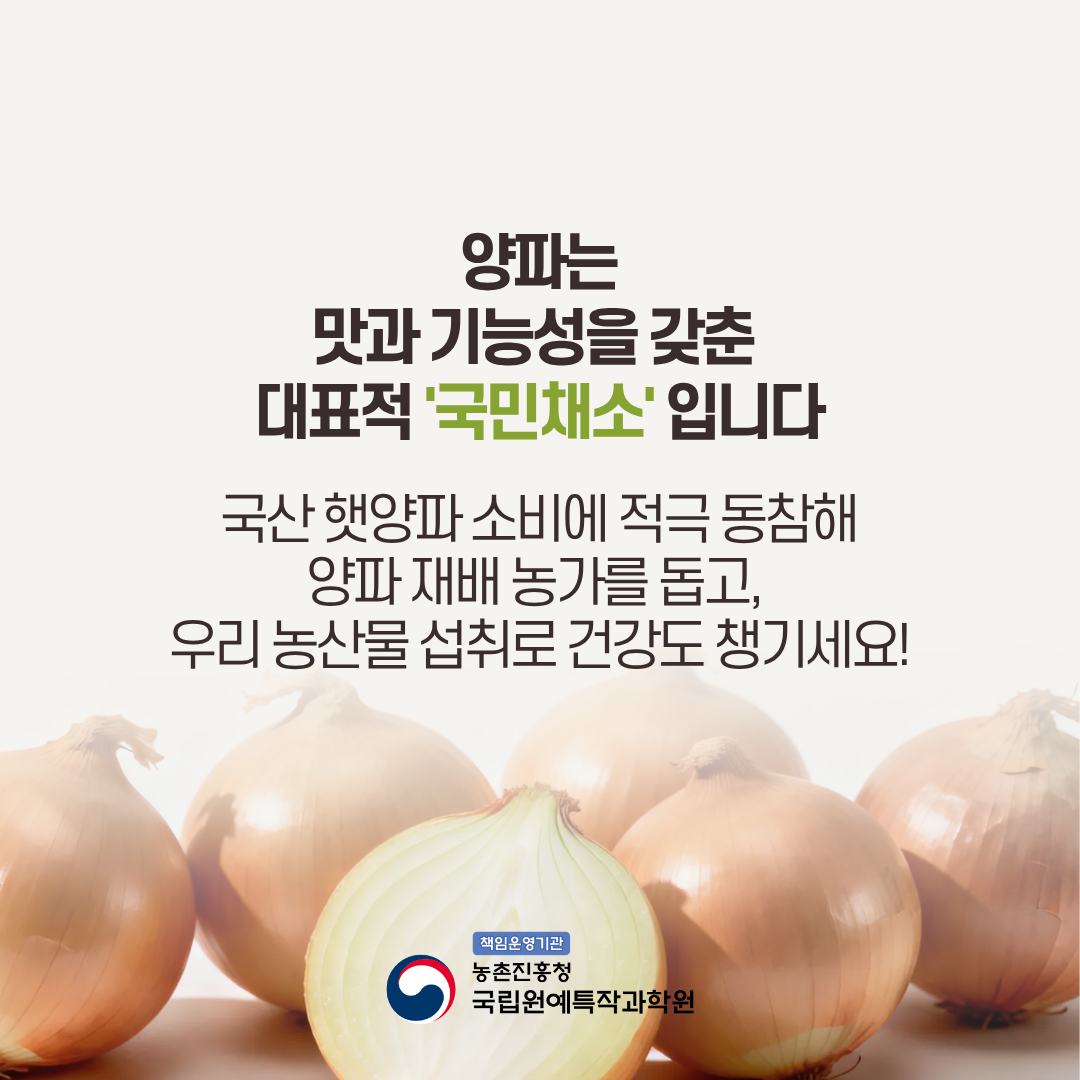 양파는 맛과 기능성을 갖춘 대표적 '국민채소' 입니다. 국산 햇양파 소비에 적극 동참ㅎ래 양파 재배 농가를 돕고, 우리 농산물 섭취로 건강도 챙기세요! 