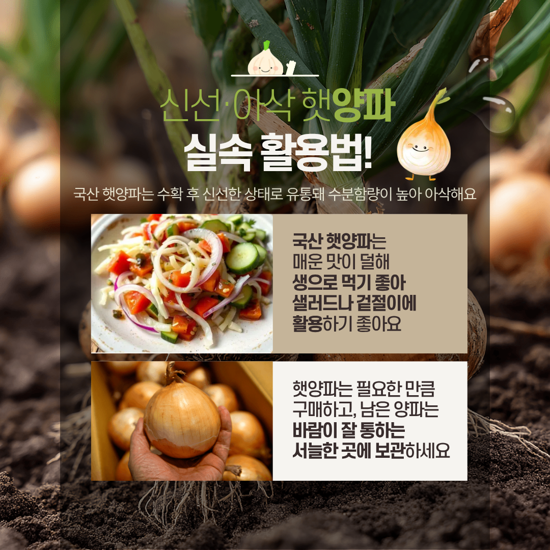 신선·아삭 햇양파 실속 활용법! 국산 햇양파는 수확 후 신선한 상태로 유통돼 수분함량이 높아 아삭해요 국산 햇양파는 매운 맛이 덜해 생으로 먹기 좋아 샐러드나 겉절이에 활용하기 좋아요 햇양파는 필요한 만큼 구매하고, 남은 양파는 바람이 잘 통하는 서늘한 곳에 보관하세요 