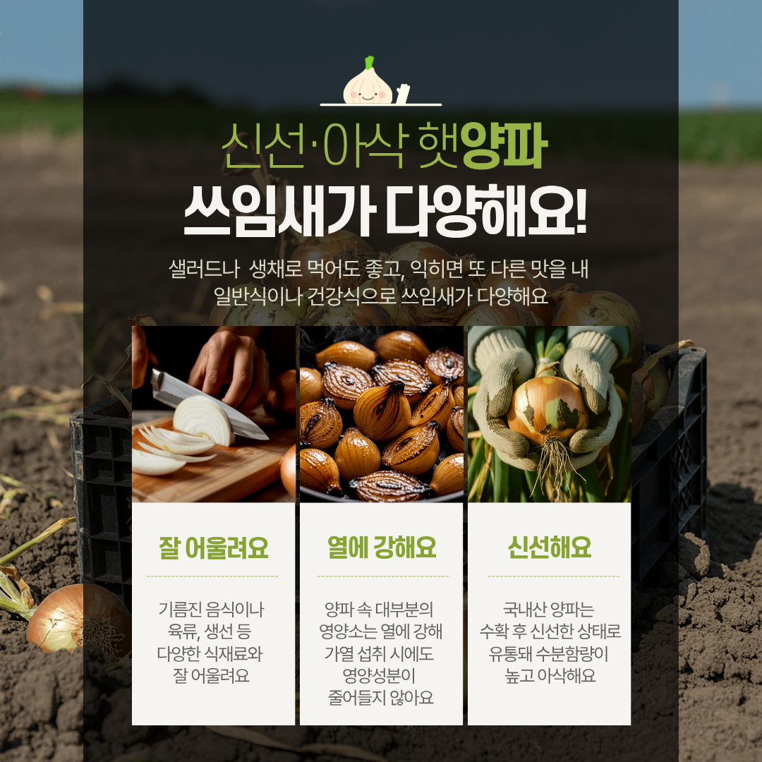 신선·아삭 햇양파 쓰임새가 다양해요!~ 샐러드나 생채로 먹어도 좋고, 익히면 또 다른 맛을 내 일반식이나 건강식으로 쓰임새가 다양해요 잘 어울려요 기름진 음식이나 육류, 생선 등 다양한 식재료와 잘 어울려요 열에 강해요 양파 속 대부분의 영양소는 열에 강해 가열 섭취 시에도 영양성분이 줄어들지 않아요 신선해요 국내산 양파는 수확 후 신선한 상태로 유통돼 수분함량이 높고 아삭해요