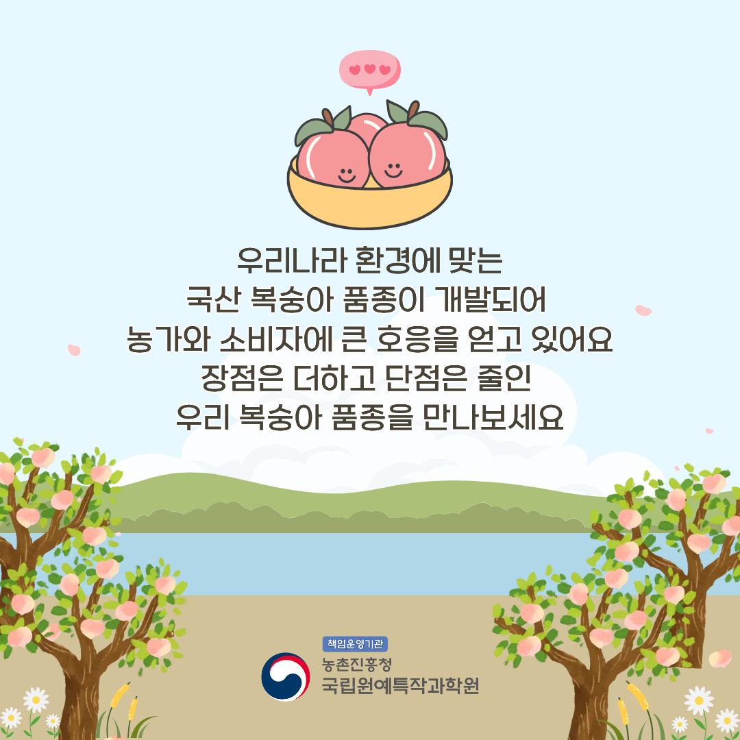 우리나라 환경에 맞는 국산 복숭아 품종이 개발되어 농가와 소비자에 큰 호응을 얻고 있어요 장점은 더하고 단점은 줄인 우리 복숭아 품종을 만나보세요 