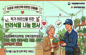 반려식물로 전하는 안부 한마디 