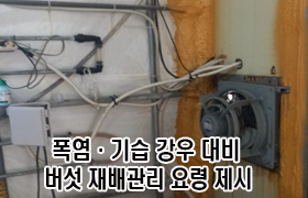폭염·기습 강우 대비, 버섯 재배 관리 요령 제시 