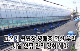 고온기 육묘장 병해충 확산 우려, 시설 안팎 관리 강화해야 