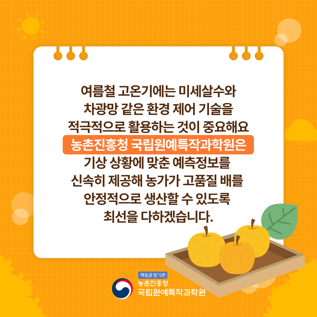  여름철 고온기에는 미세살수와 차광망 같은 환경 제어 기술을 적극적으로 활용하는 것이 중요해요 농촌진흥청 국립원예특작과학원은 기상 상황에 맞춘 예측정보를 신속히 제공해 농가가 고품질 배를 안정적으로 생산할 수 있도록 최선을 다하겠습니다. 