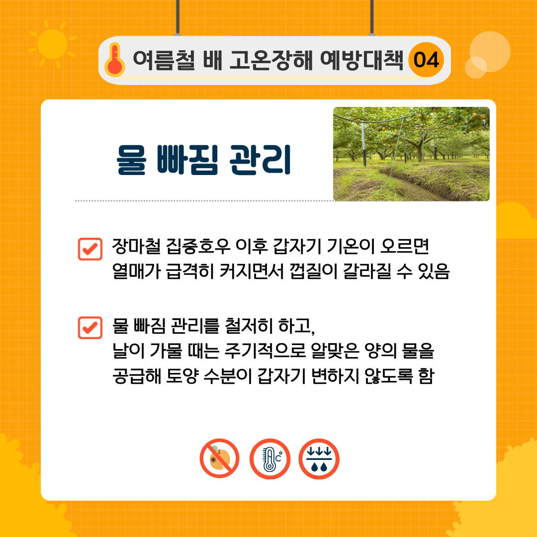 여름철 배 고온장해 예방대책 04 물 빠짐 관리 장마철 집중호우 이후 갑자기 기온이 오르면 열매가 급격히 커지면서 껍질이 갈라질 수 있음 물 빠짐 관리를 철저히 하고, 날이 가물 때는 주기적으로 알맞은 양의 물을 공급해 토양 수분이 갑자기 변하지 않도록 함