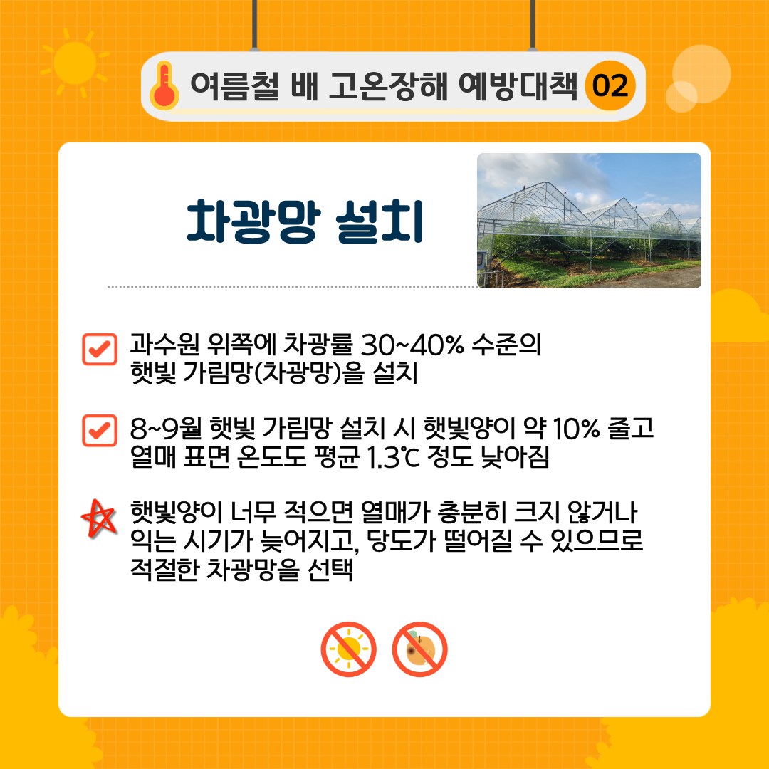 여름철 배 고온장해 예방대책 02 차광막 설치 과수원 위쪽에 차광률 30~40% 수준의 햇빛 가림망(차광망)을 설치 8~9월 햇빛 가림망 설치 시 햇빛양이 약 10%줄고 열매 표면 온도도 평균 1.3℃ 정도 낮아짐 햇빛양이 너무 적으면 열매가 충분히 크기 않거나 익는 시기가 늦어지고, 당도가 떨어질 수 있으므로 적절한 차광망을 선택 