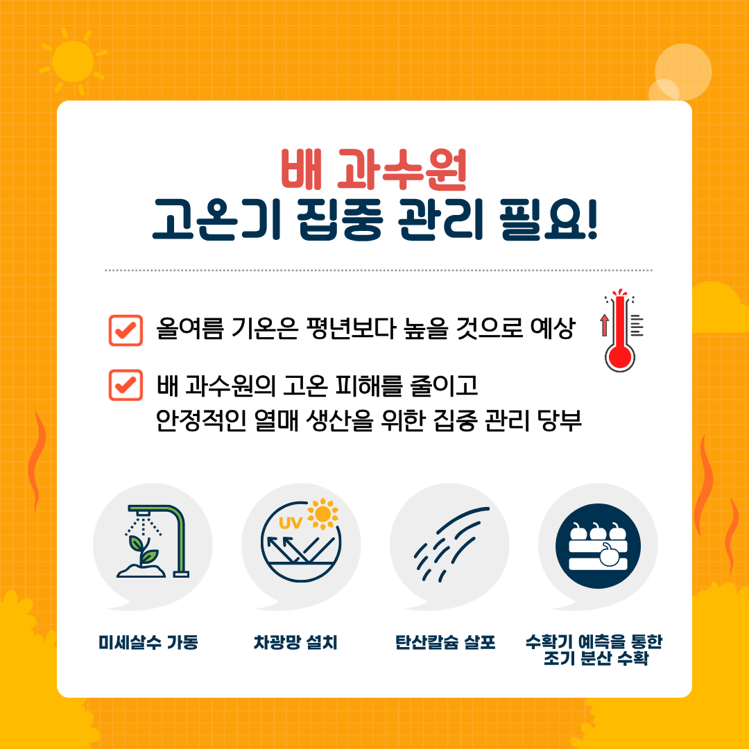 배 과수원 고온기 집중 관리 필요! 올여름 기온은 평년보다 높을 것으로 예상 배 과수원의 고온 피해를 줄이고 안정적인 열매 생산을 위한 집중 관리 당부 미세살수 가동 차광망 설치 탄산칼슘 살포 수확기 예측을 통한 조기 분산 수확 