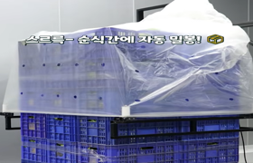 금배추 막아줄까?🥬 배추의 신선함을 지키는 비닐옷의 정체는? 
