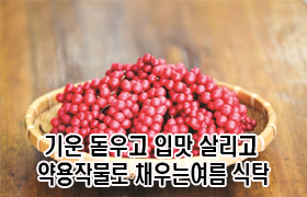 “기운 돋우고 입맛 살리고” 약용작물로 채우는 여름 식탁 