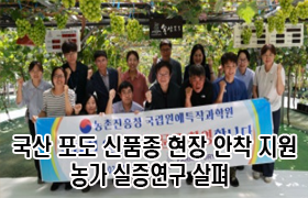국산 포도 신품종 현장 안착 지원, 농가 실증연구 살펴 