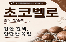 식감 천재 갈색 양송이버섯 '초코벨로' 등장🤎 