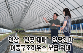 인삼 ‘한 곳 재배’ 앞당긴다…이중구조하우스 보급 확대 