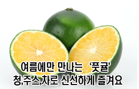 여름에만 만나는 '풋귤'…“청·주스·차로 신선하게 즐겨요”