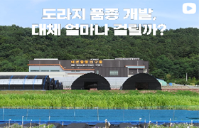 도라지에서 시작된 변화 ⏳약용작물 품종 개발 기간 절반 단축(국내 최초!) 
