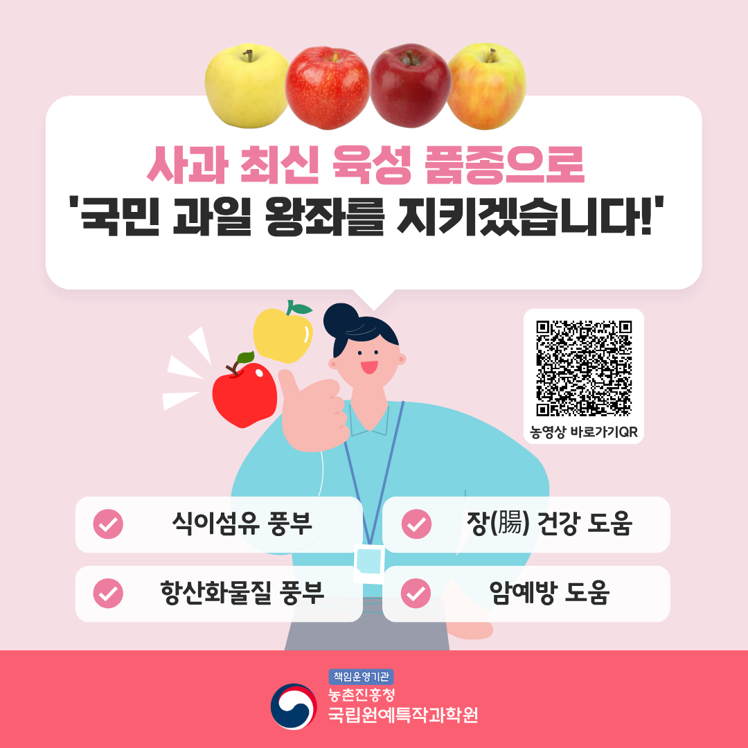 사과 최신 육성 품종으로 '국민 과일 왕좌를 지키겠습니다!' 식이섬유 풍부 장(腸)건강 도움 항산화물질 풍부 암예방 도움 