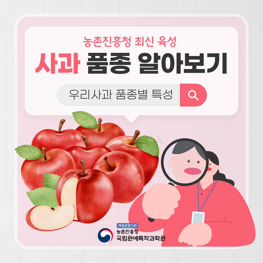 농촌진흥청 최신 육성 사과 품종 알아보기 우리사과 품종별 특성 