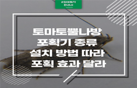 “토마토뿔나방” 포획기 종류‧설치 방법 따라 포획 효과 달라 