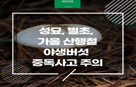성묘·벌초·가을 산행철, 야생버섯 중독사고 주의 