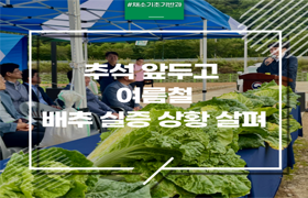 추석 앞두고 여름철 배추 실증 상황 살펴 