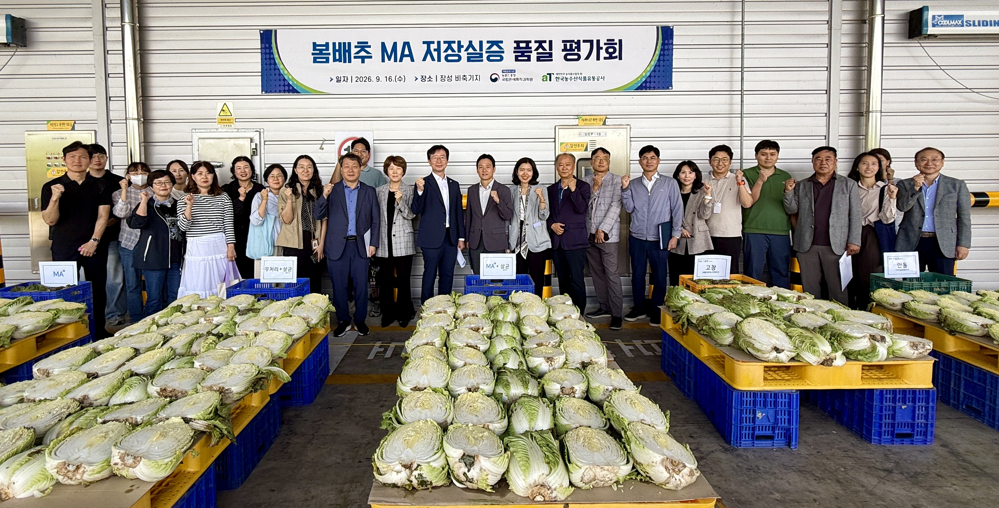 봄 배추 엠에이(MA) 장기 저장 기술의 실증 상황 점검