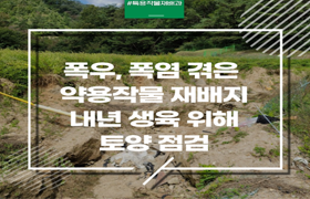 폭염·폭우 겪은 약용작물 재배지, 내년 생육 위해 토양 점검