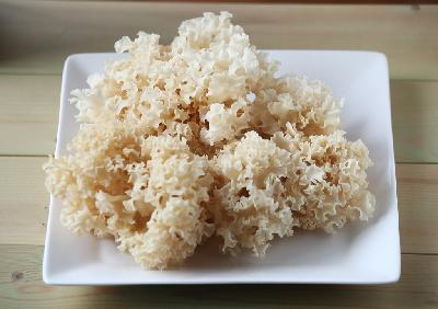 이달의 버섯이미지