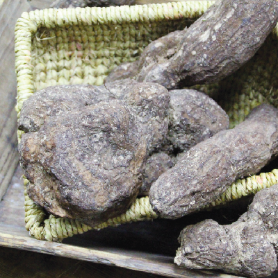 이달의 버섯이미지