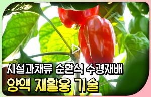 시설과채류 순환식 수경재배 양액 재사용 기술 동영상 입니다. 