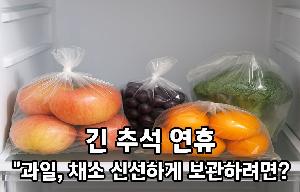 긴 추석 연휴 “과일, 채소 신선하게 보관하려면? 