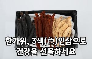 “한가위, 3색(色) 인삼으로 건강을 선물하세요” 