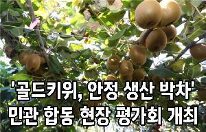 ‘골드키위, 안정 생산 박차’ 민관 합동 현장 평가회 개최 