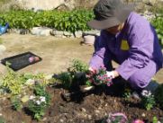 “치유농업 효과 쉽게 측정한다” 표준 기준 최초 제시