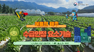 배춧값 걱정 없게! 여름철 배추 수급 안정을 위한 기술 총정리