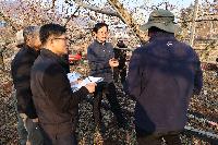 겨울잠 깬 복숭아, 개화기 전까지 피해 없도록 집중 관리