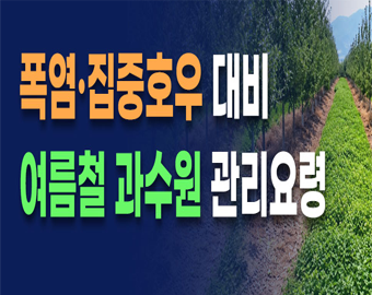 폭염.집중호우 대비 여름철 과수원 관리 요령