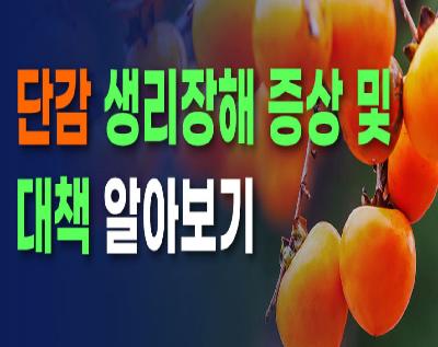 단감 생리장해 증상 및 대책 알아보기