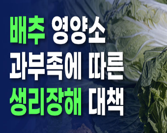 배추 영양소 과부족에 따른 생리장해 대책