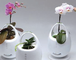 photo : Anion ionizer LED lighting flowerpots