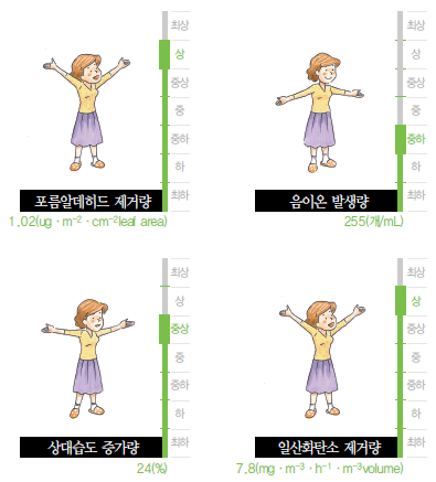 포름알데히드 제거량, 음이온발생량, 상대습도증가량, 일산화탄소 제거량