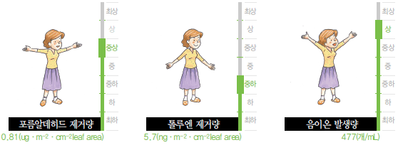 포름알데히드 제거량, 톨루엔 제거량, 음이온 발생량