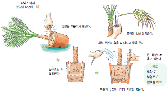 재배 및 유지관리