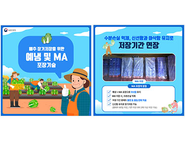 홍보(MA기술_카드뉴스)