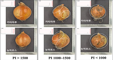 스펙트럼별 부패율