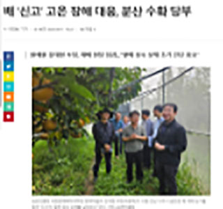 배 주산지에 ’신고‘ 조기/분산 수확 권장 홍보
