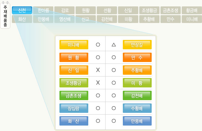 주재배품종 신천 이미지